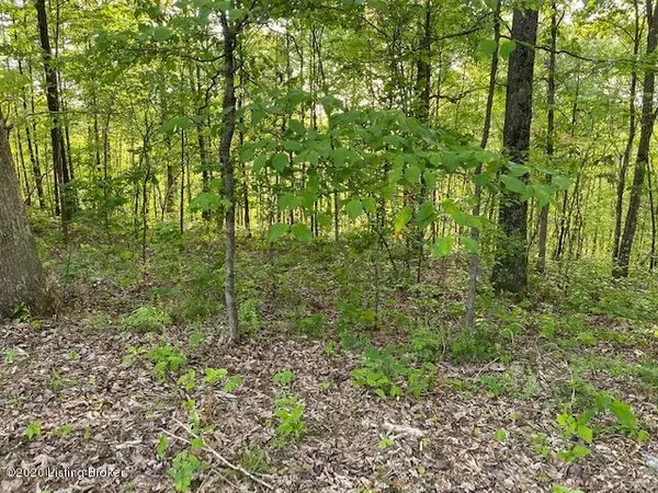 Bee Springs, KY 42207,50 JenJohn Rd