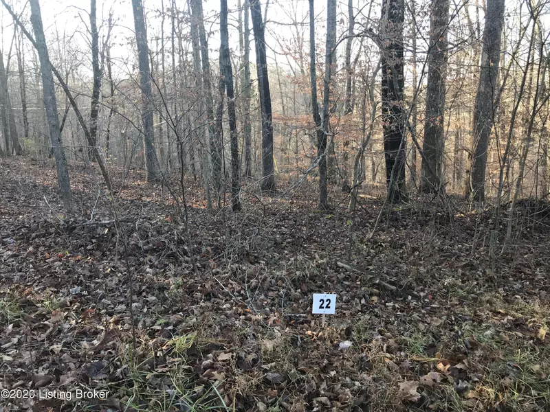 Lot 22 Gannaway Rd, Leitchfield, KY 42754