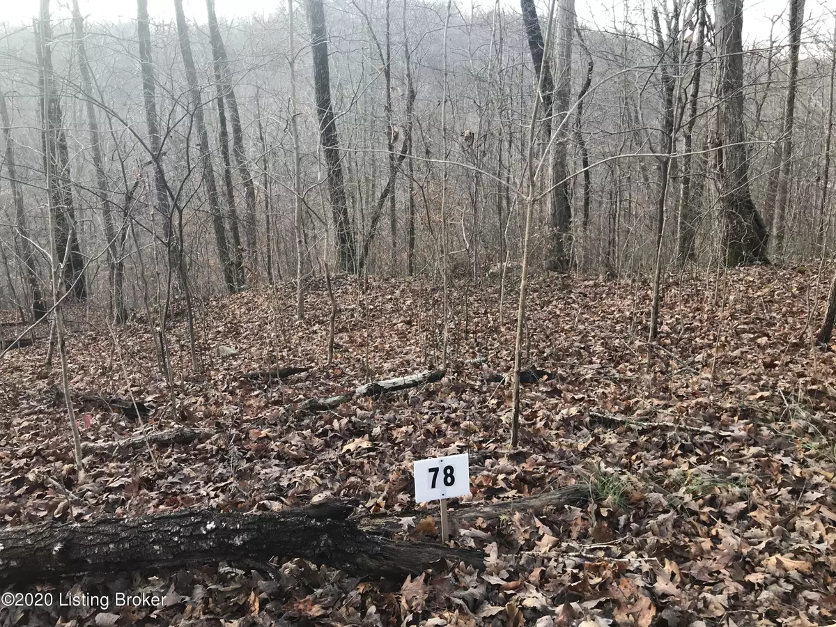 Leitchfield, KY 42754,Lot 78 Gannaway Rd