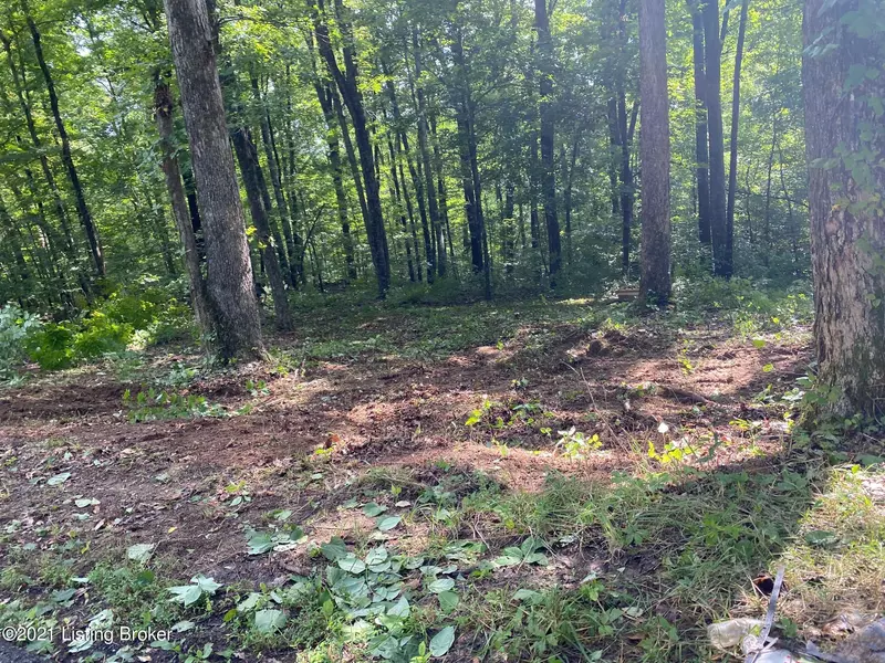 Lot #125 Cave Hollow Bay, Mammoth Cave, KY 42259