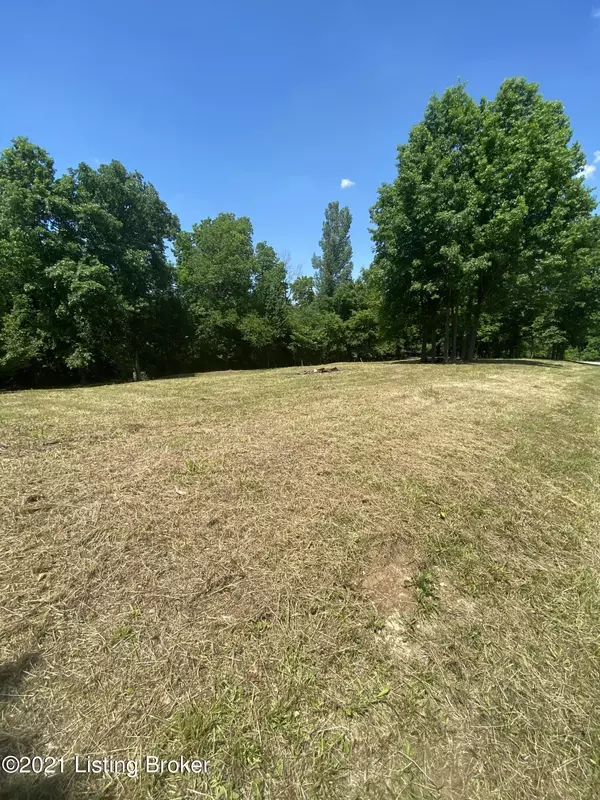 Coxs Creek, KY 40013,Lot #9 Allender Ln