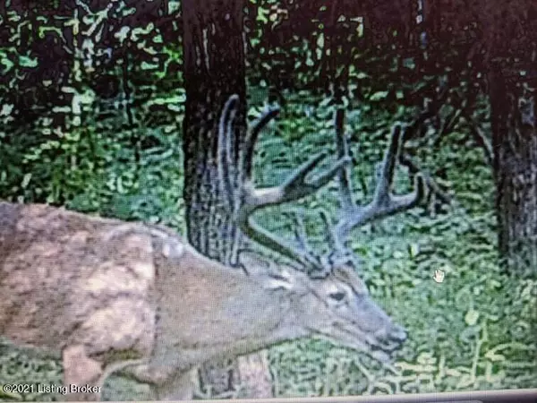 Battletown, KY 40104,595 Valley Creek Rd