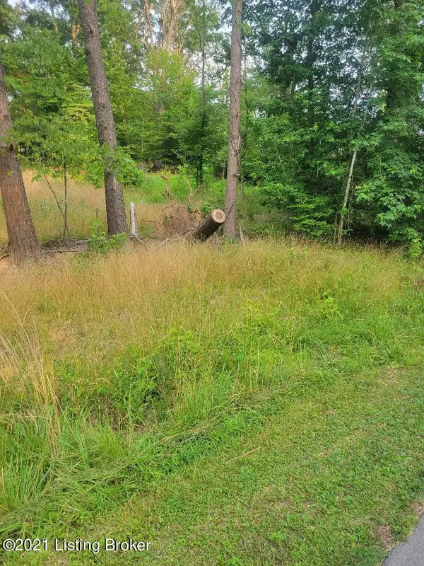 Boston, KY 40107,Lot 45 Clear Creek Dr