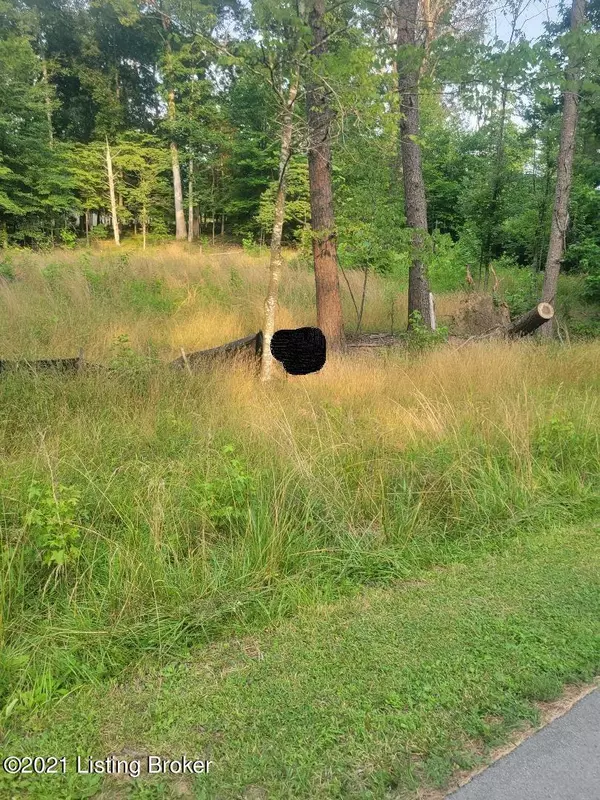 Boston, KY 40107,Lot 45 Clear Creek Dr