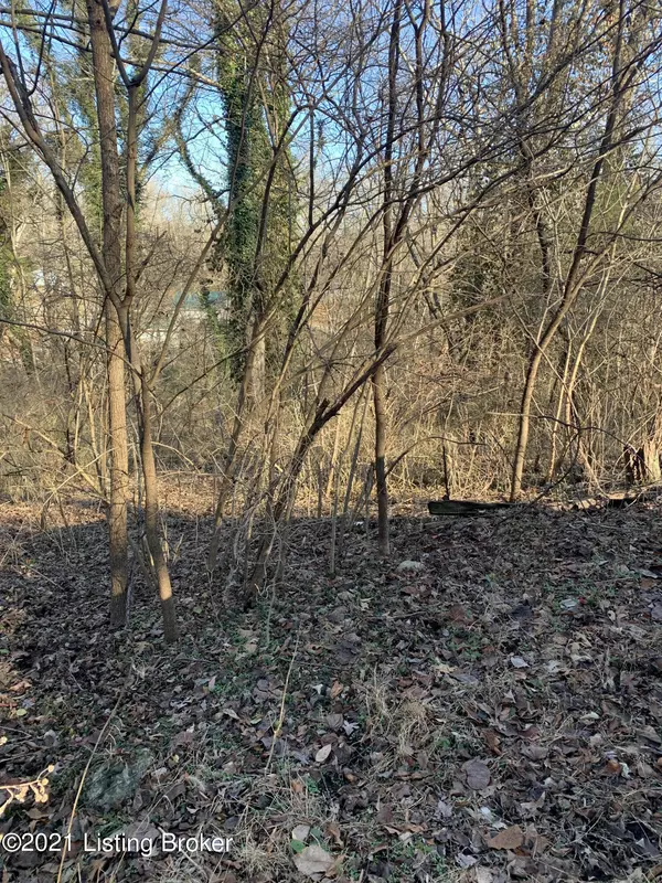 000 Edgewater Dr, Pewee Valley, KY 40056