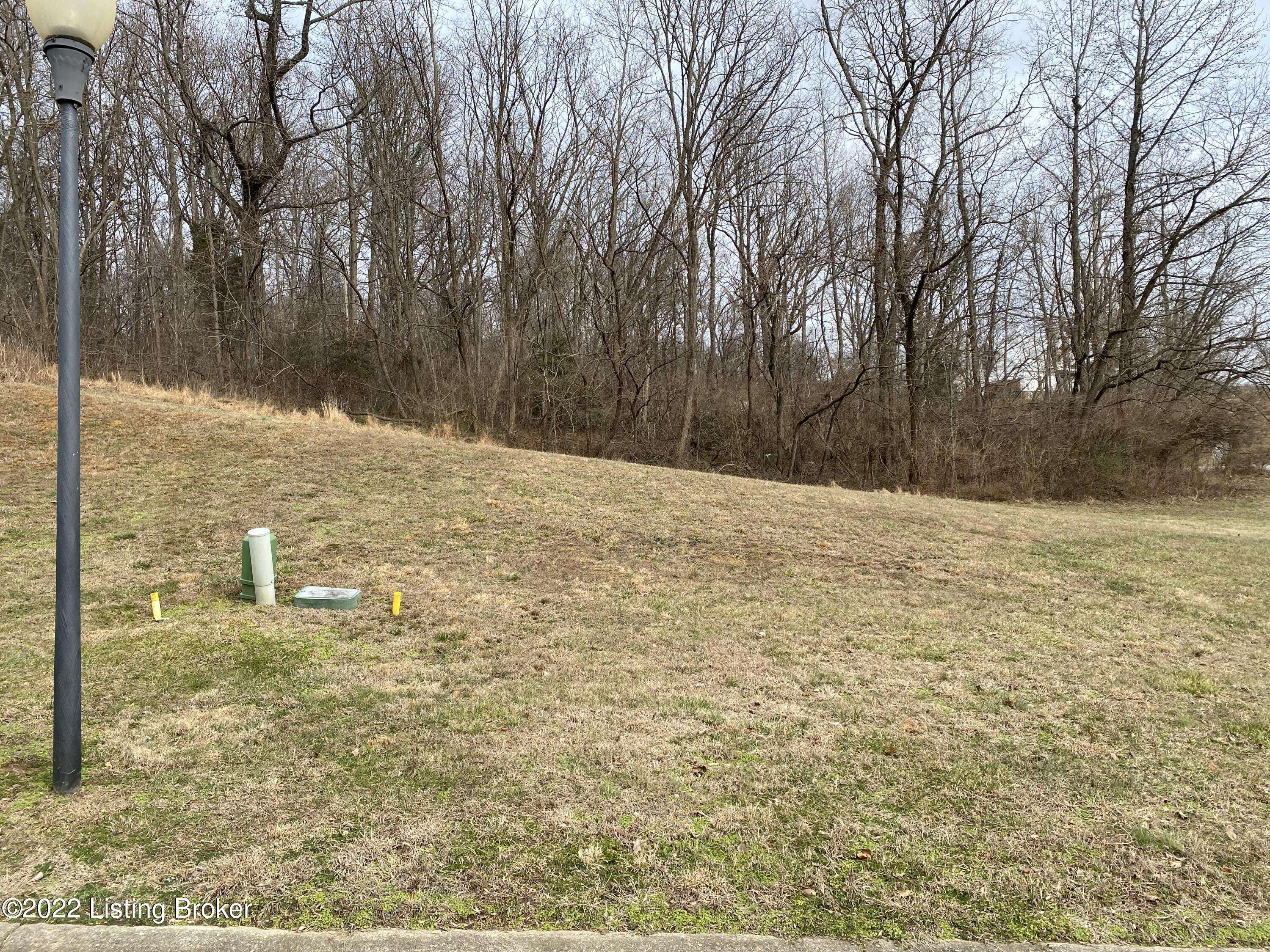 4210 Wine Cellar Ct, Louisville, KY 40214