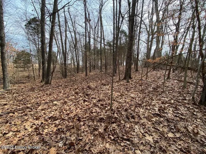 Lot 8A-0 Concord Point Rd, Falls Of Rough, KY 40119