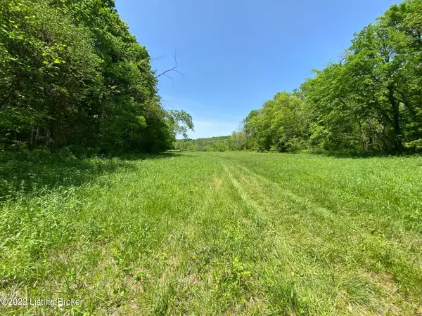 Constantine, KY 40140,881 Duncan Valley West