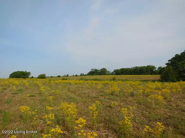 0 Drennon Rd, New Castle, KY 40050