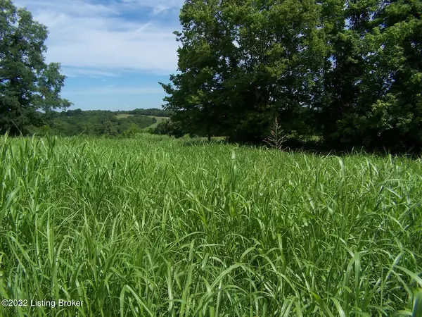 Sulphur, KY 40070,6976 Sulphur Rd