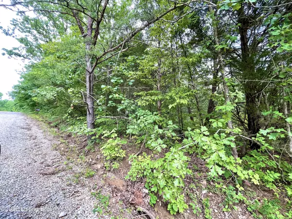 Lot 48 Hillcrest Loop, Falls Of Rough, KY 40119