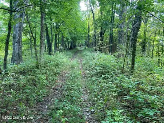 47 Old Moxley Rd, Worthville, KY 41098
