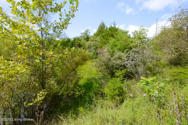 Mt Eden, KY 40046,700 (lot4) Stoney Hollow Rd