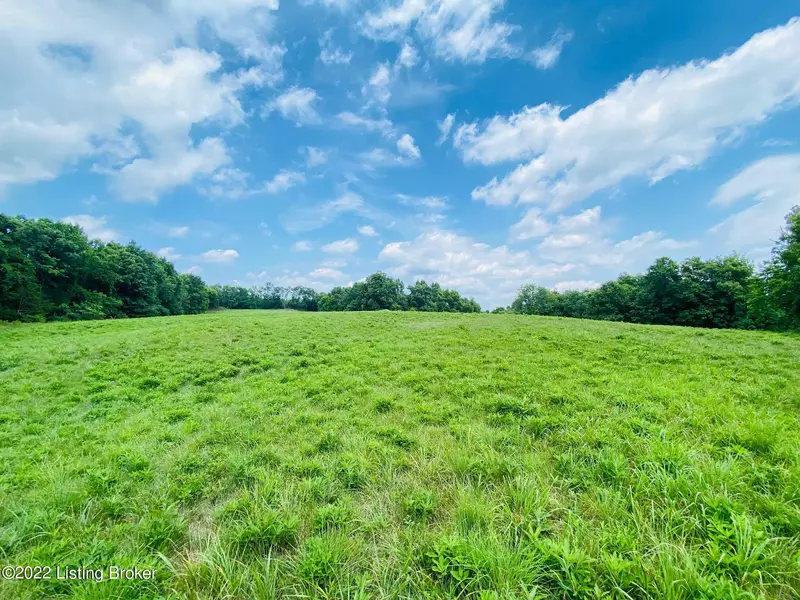 #5 Hwy 555, Willisburg, KY 40078