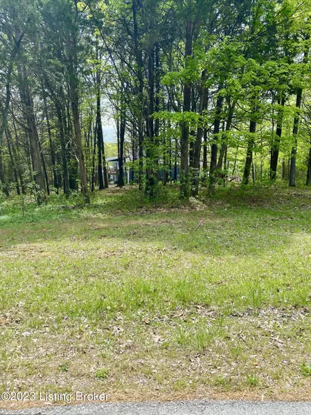 Lot 333 Pine Point Rd, Brandenburg, KY 40108