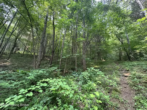 Irvington, KY 40146,0 Cook Ridge Rd