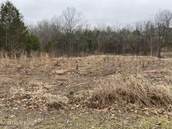 Mt Washington, KY 40047,0 Meadowood Dr