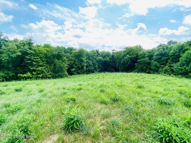 #7B Hwy 555, Willisburg, KY 40078