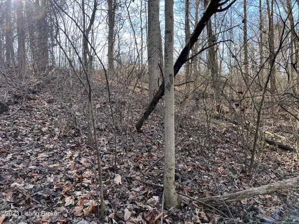 Bedford, KY 40045,Lot 7B Dogwood Estates