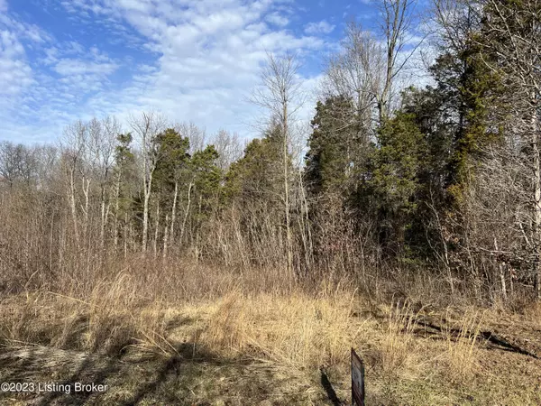 Lot 7B Dogwood Estates, Bedford, KY 40045