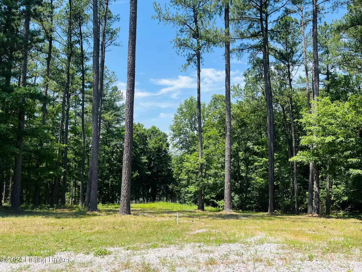 Falls Of Rough, KY 40119,8 Marina Point Ln