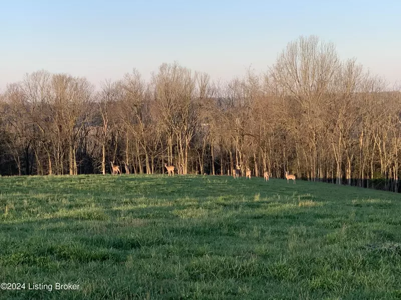 11 Tucker Ln, Springfield, KY 40069