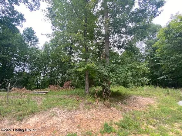 Leitchfield, KY 42754,0 Falls Ln. (Lot 7)