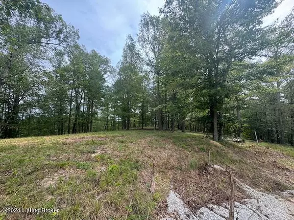 Leitchfield, KY 42754,0 Falls Ln. (Lot 8)