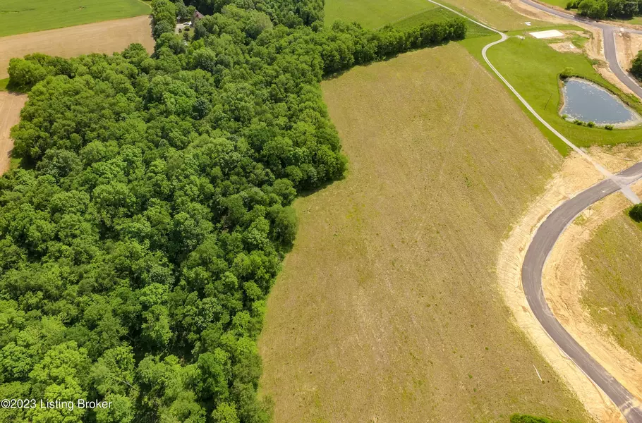 Tract 41A Stallard Springs, Shelbyville, KY 40065
