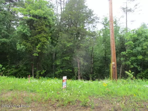 lot 18&19 Brier Creek Rd, Mammoth Cave, KY 42259