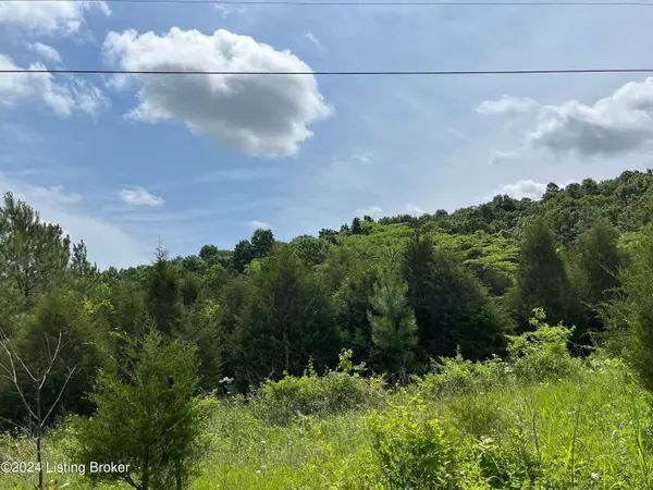 Lot 1 Shaw Creek Rd, Big Clifty, KY 42712