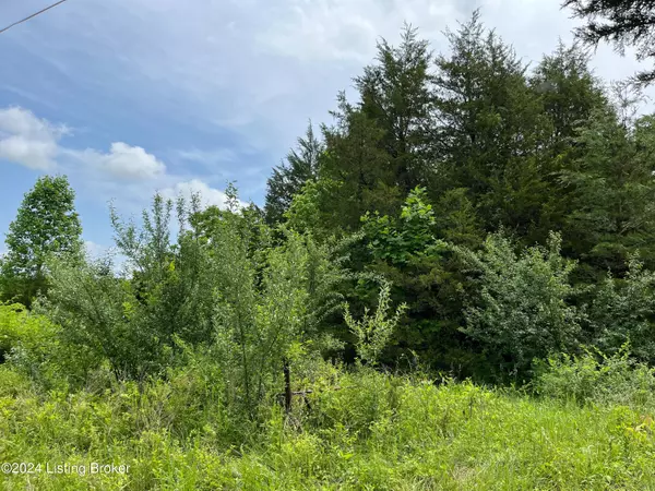 Big Clifty, KY 42712,Lot 2 Shaw Creek Rd