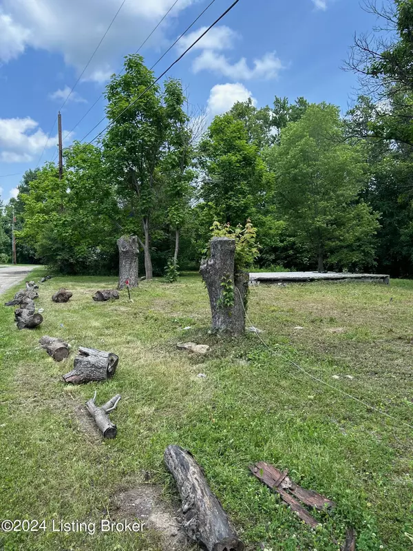 Worthville, KY 41098,721 Happy Hollow Ln