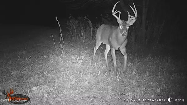 Shelbyville, KY 40065,300 Harley Thompson Rd