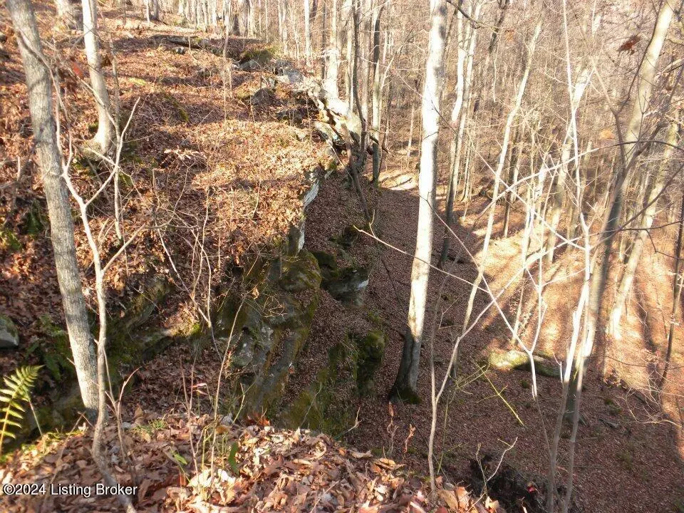 Bowling Green, KY 42101,0 Benleo Rd