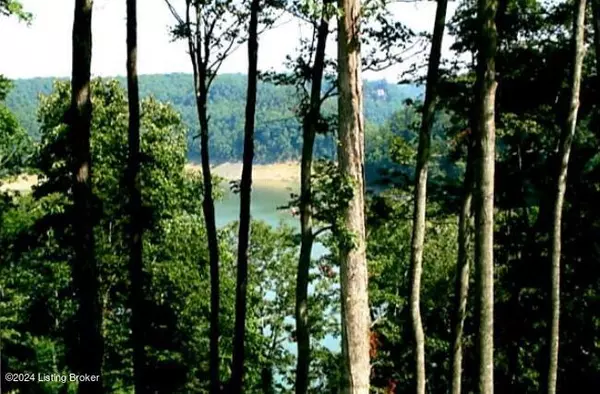 Russell Springs, KY 42642,90 Peninsula at Lake Cumberland