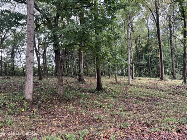 Lot 19 Dogwood Estates, Bedford, KY 40006