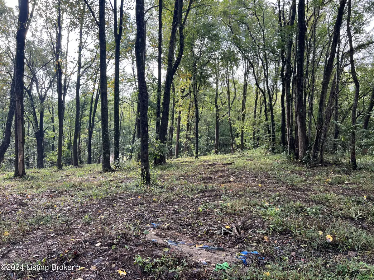 Bedford, KY 40006,Lot 20 Dogwood Estates