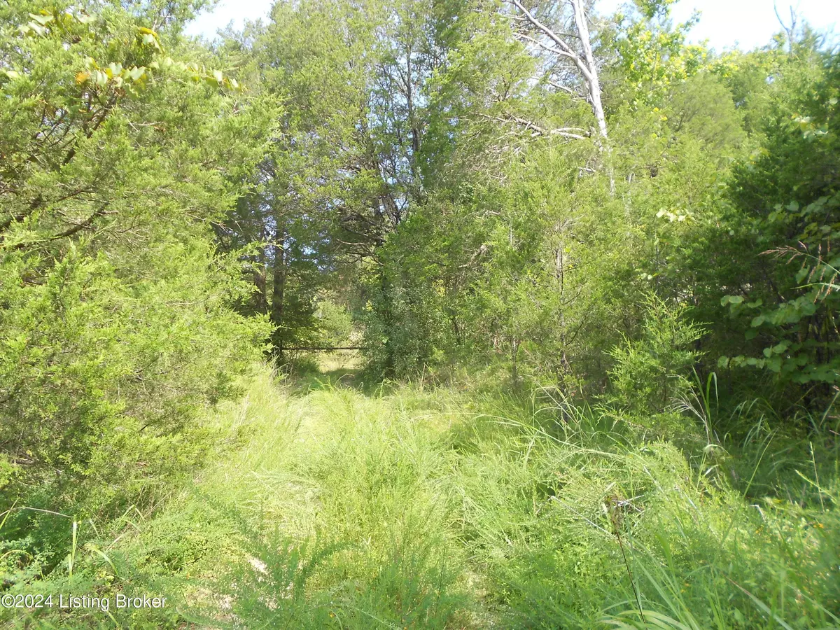 Coxs Creek, KY 40013,0 Harrison Fork Rd