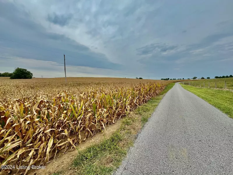 Tract 3 Froman Ln, Lebanon, KY 40033