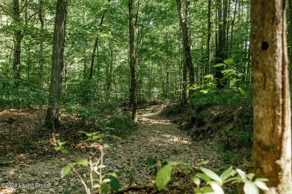 Lebanon Junction, KY 40150,Lot 7 Beech Valley Ct