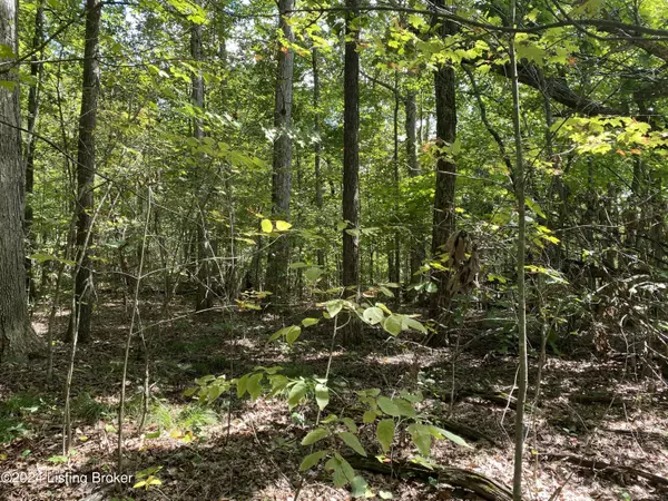 Mammoth Cave, KY 42259,4805 Nolin Dam Rd