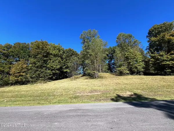 59 Patriot Heights Ln, Falls Of Rough, KY 40119