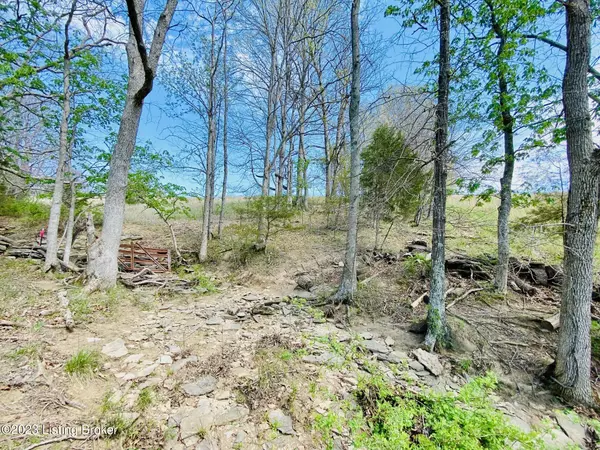 Harrodsburg, KY 40330,Lot#13 East Fork Rd