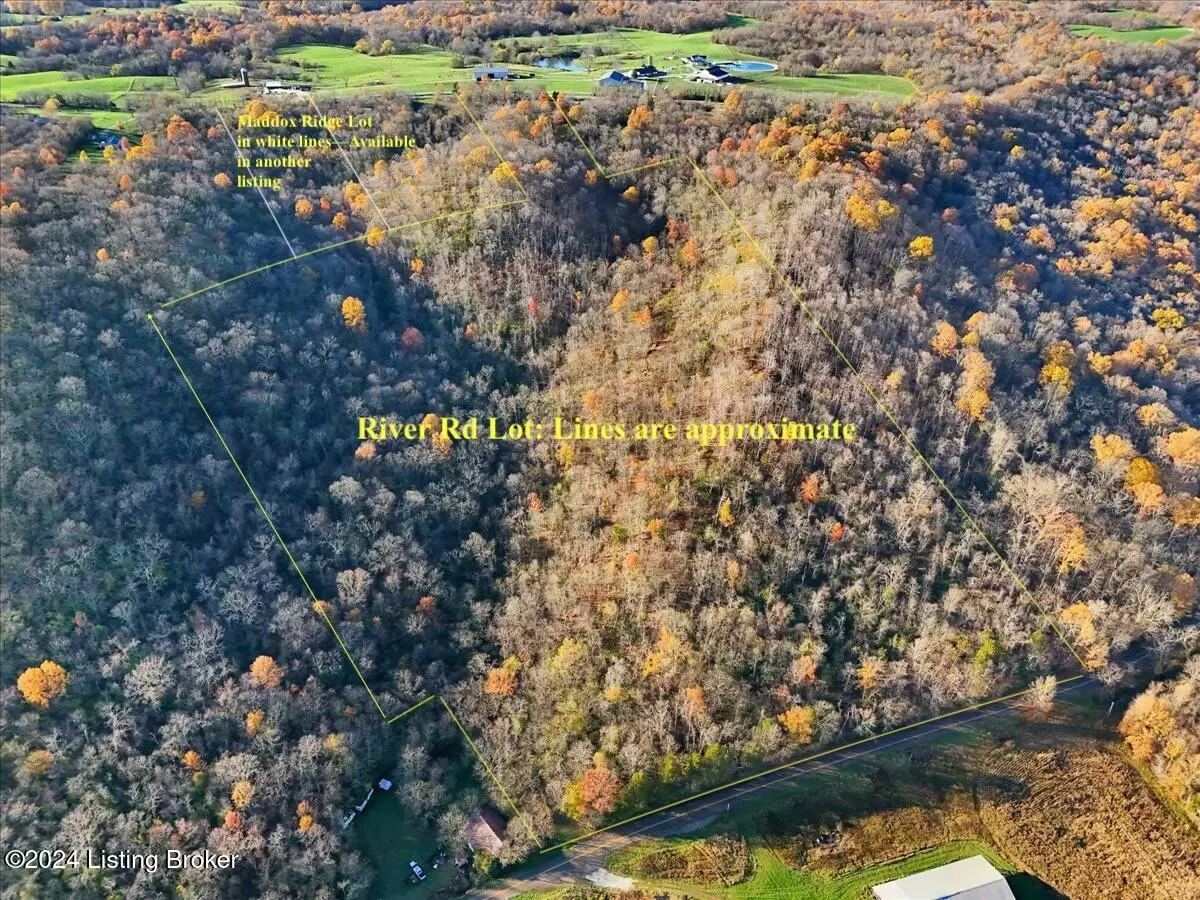 Campbellsburg, KY 40011,00000 River Rd