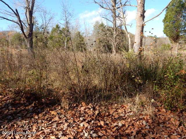 Lebanon Junction, KY 40150,2824 Horsefly Hollow Rd