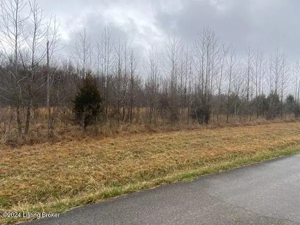 Summer Shade, KY 42166,1 Moore Rd #Lot 1A