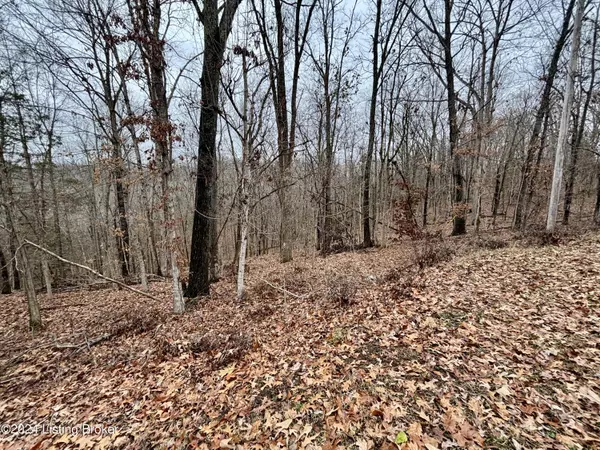 Brandenburg, KY 40108,Lot 108 Sunnyview Rd