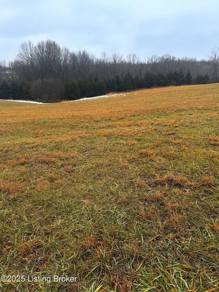 Tract 1B Ashes Creek Ln, Bloomfield, KY 40008