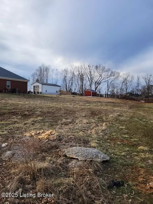 Mt Washington, KY 40047,Lot 703 Bluffs Edge Dr